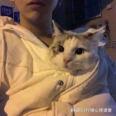 水晶传说小米版下载
